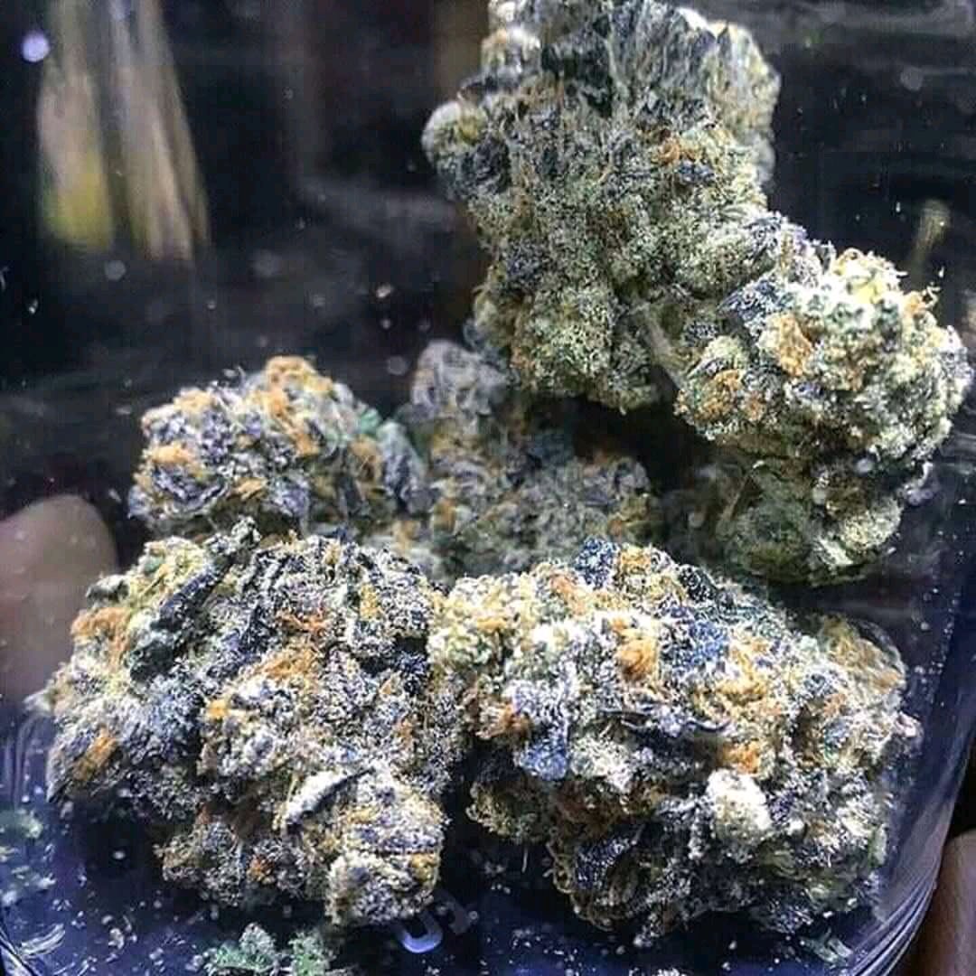 blesssilver1's tweet image. 