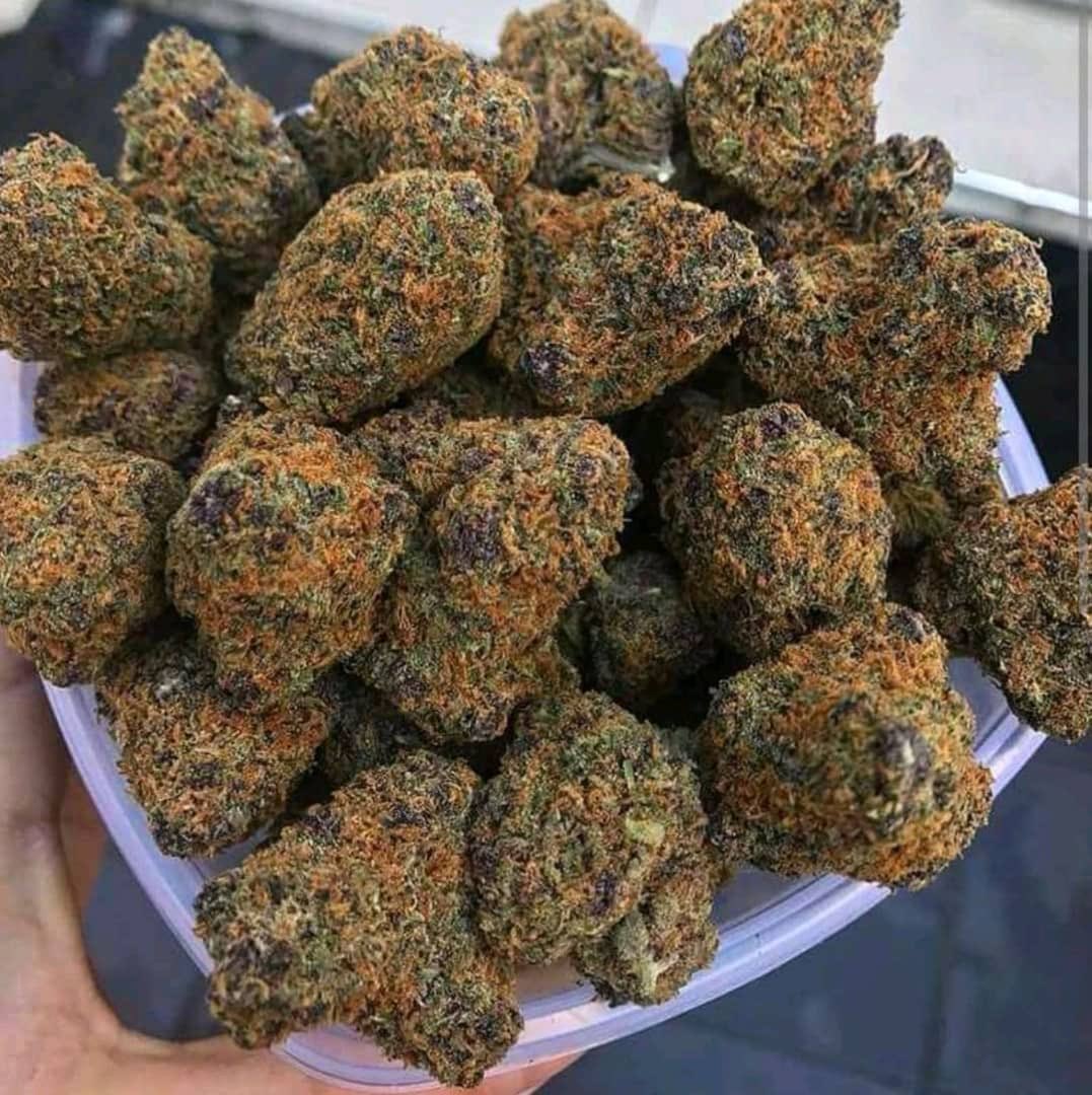 blesssilver1's tweet image. 