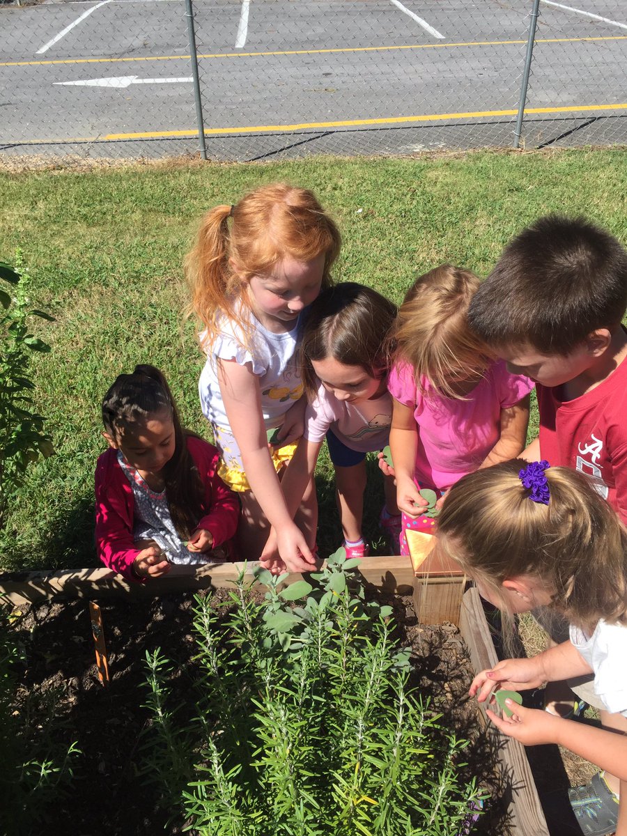 Fabulous Friday in kindergarten! The students picked basil from the garden and made a pizza!
#lifeisbetteratthelakes 
@MaryAlcornGLES 
<a href="/GardenLakesElem/">GLES</a> 
<a href="/FloydCoSchools/">Floyd County Schools</a>