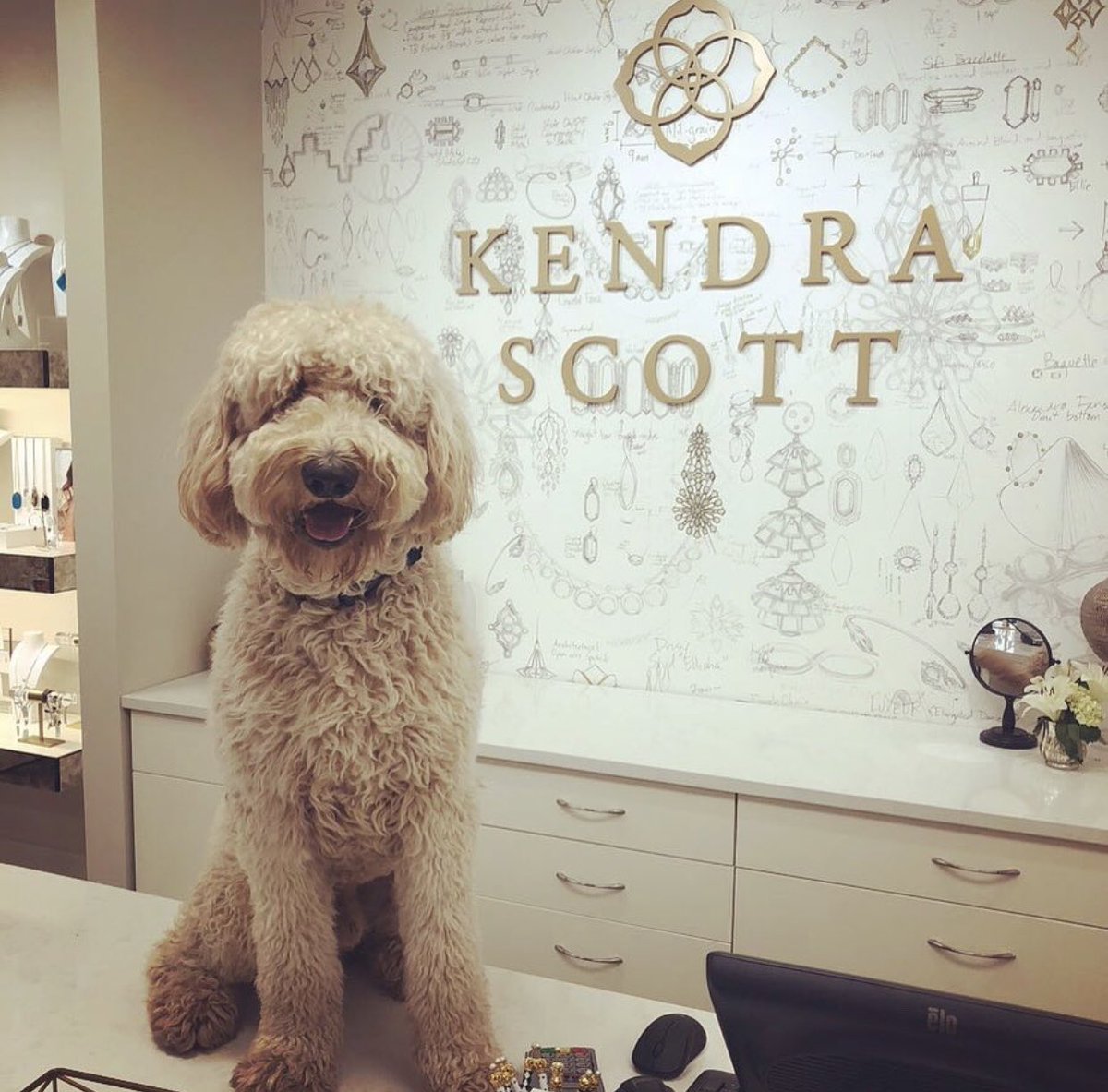 Cooper is so excited about our new Kendra Scott store! 💕😍