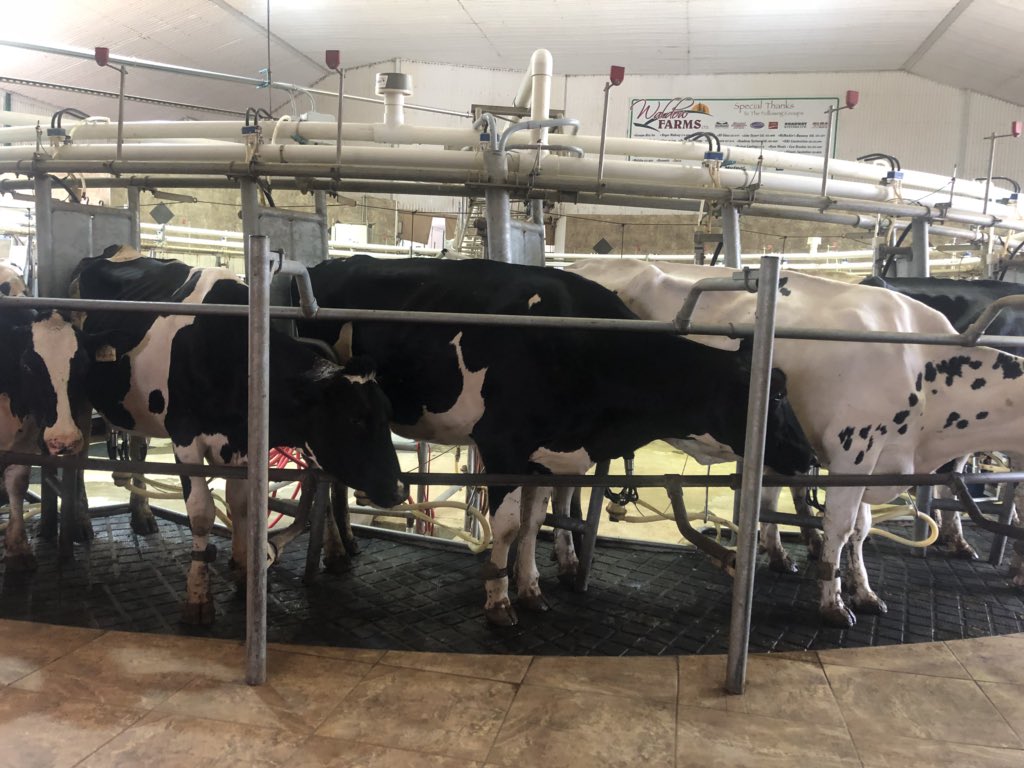 Thank you to all the host farms of #openfarmday for promoting agriculture in NB!