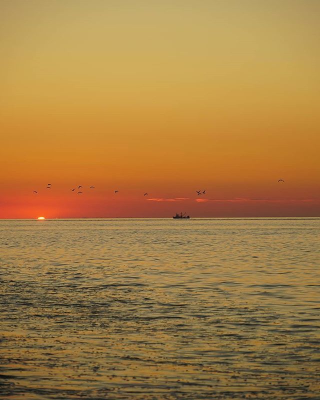 ronak_jethwa's tweet image. Cape Cod Sunsets

#racepointbeach #capecod #wickedcapecod #capecodimages #capecodlife #capecodphotography #provincetown #massachusetts #scenesofma #newengland #scenesofnewengland #ignewengland #igersnewengland #chasinglight #sunsets #sonya6300 #nofilter ift.tt/2xmlj5J