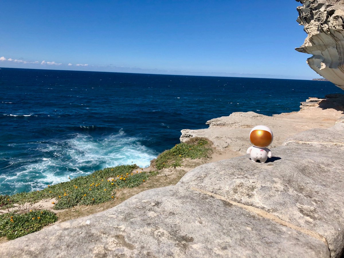 Enjoying the morning breeze on the Coastal Walk from Bondi to Coogee - took a second to sit on the ledge and reflect on how amazing life can be. Had some tunes playing from my ⁦<a href="/Malektronic/">Malektronic</a>⁩ #RocketMan to help set the mood. 🎶 Cue: Men at Work: Down Under ☀️🌊