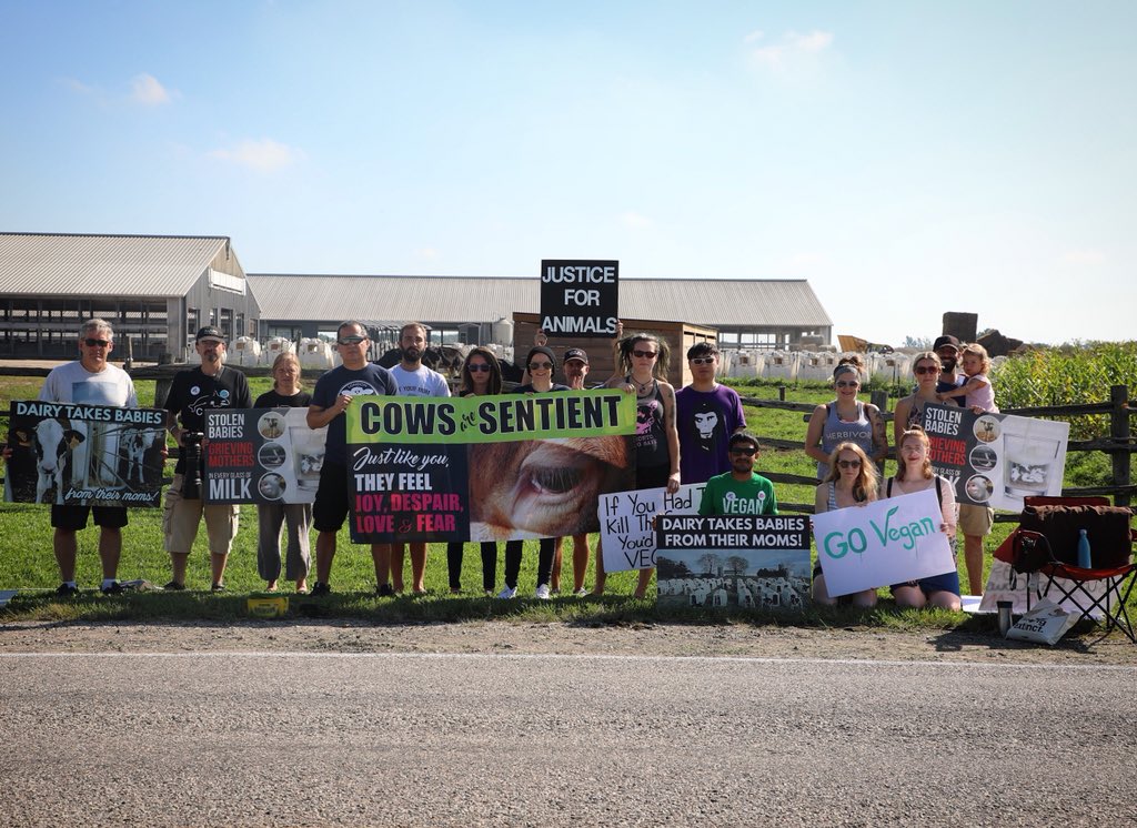 London Cow Save🇨🇦 tweet media