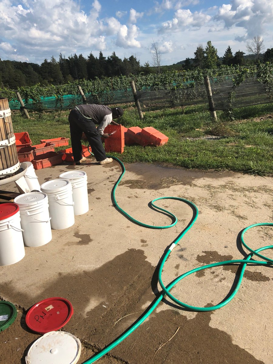 Laura Sabourin tweet media