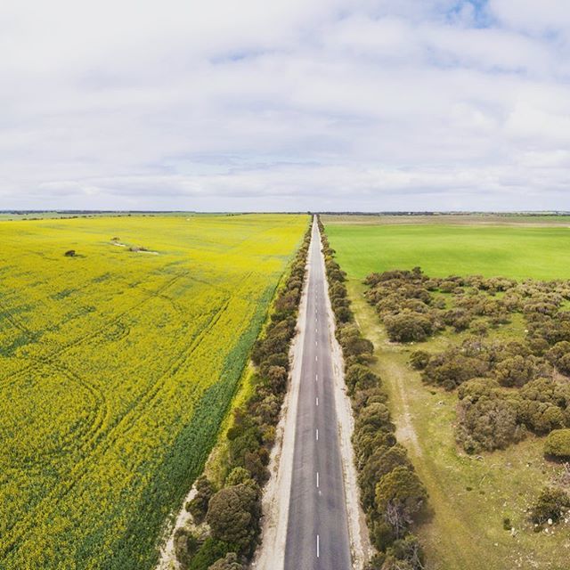 Spring over at yorkes
.
.
.
#spring #canola #tiserspring #djimavicpro #dronephotography @djiglobal <a href="/djimavicpro/">DJI Mavic Pro 💙</a> @yorkepeninsula #yorkepeninsula #seesouthaustralia #ichoosesa #southaustralia #aerialphotography ift.tt/2D4HeVb