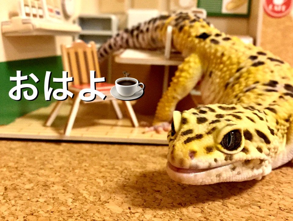 今日は敬老の日18