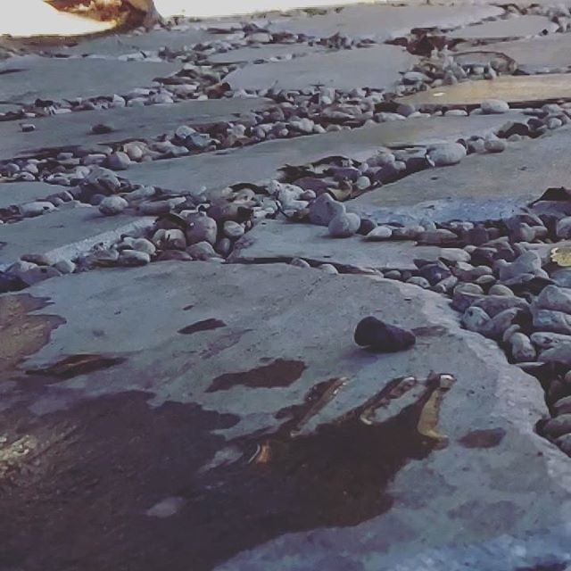 atara_xyz's tweet image. Summer slow motion fun.

#superslowmo #wasserbombe #waterballoons #backyardscience #fun ift.tt/2DbzSPM