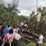 台風が過ぎ去った後の中国wその出勤風景はまるでアスレチック状態!？