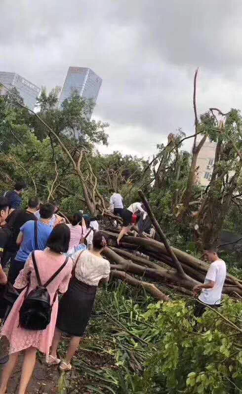 台風が過ぎ去った後の中国wwその出勤風景はまるでアスレチック状態！？