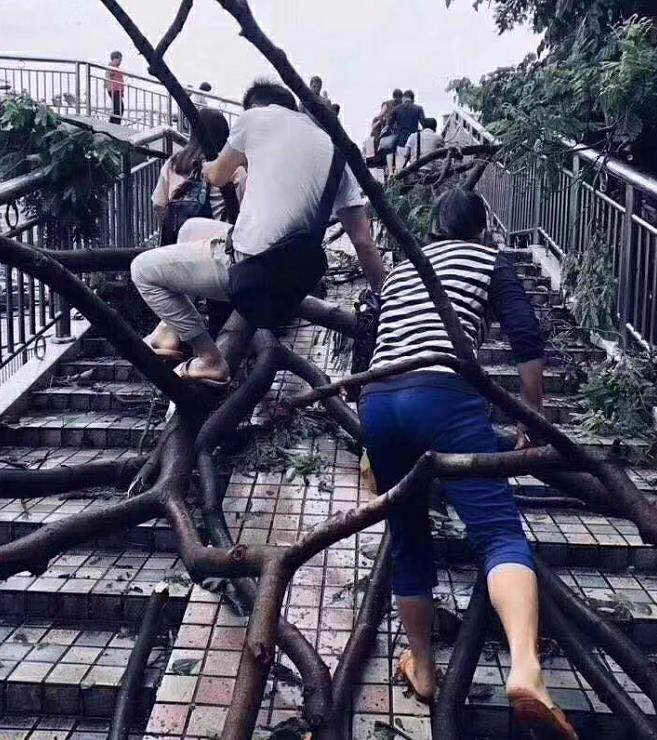 台風が過ぎ去った後の中国wwその出勤風景はまるでアスレチック状態！？