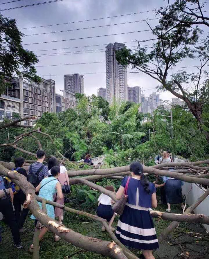 台風が過ぎ去った後の中国wwその出勤風景はまるでアスレチック状態！？