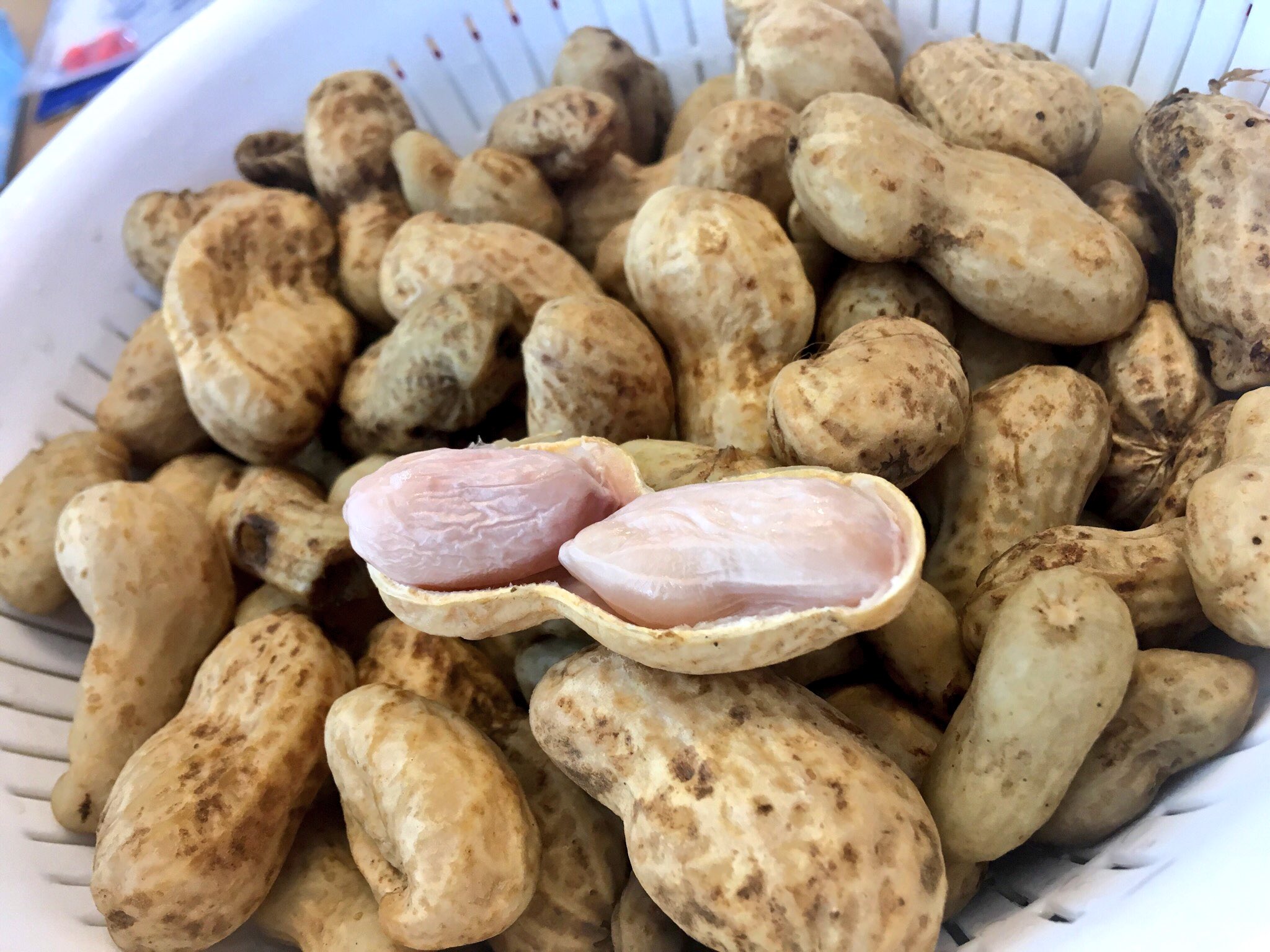 とま 圧力鍋活用 また掘りたての落花生貰ったから生落花生の塩茹で コンロだと40分ぐらい茹でなきゃいけないけど 圧力鍋で5分加圧でホクホク T Co D0ldmzl8tl Twitter