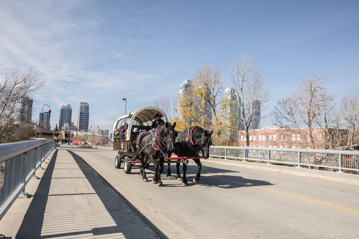 Calgary Stampede tweet media