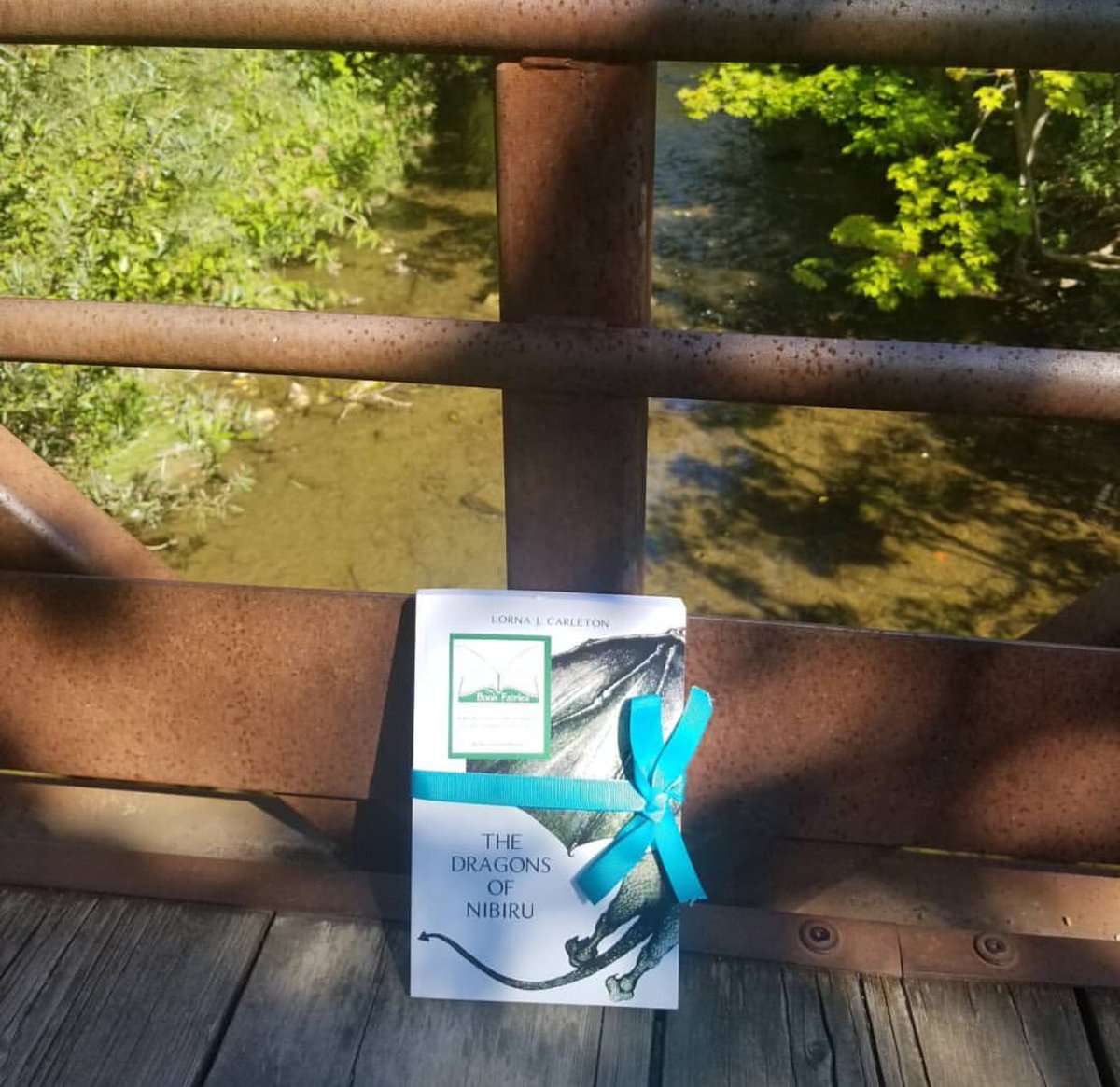 BookFairies_TO's tweet photo. If you didn’t find a signed copy of Canadian author Lorna J. Carleton's book The Dragons of Nibiru this week there was another chance this afternoon at Mill Pond.
#ibelieveinbookfairies
#thedragonsofnibiru #lornajcarleton #dragonsofnibiru #fantasybooks https://t.co/SoZ5PNhud3