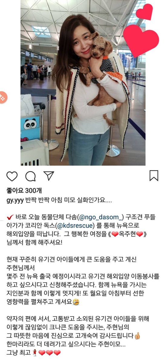 옥주현은 오늘 개인 스케줄로 뉴욕 출발 예정이며 이와 함께 유기견 해외 입양 이동 봉사까지 행 한다고 한다.