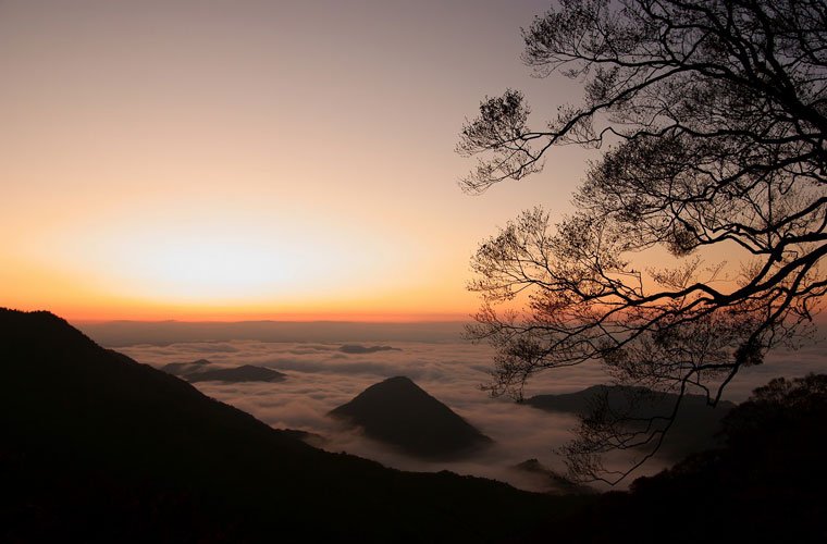 new_rakuen's tweet photo. 大江山の雲海(京都) https://t.co/UbJq9JTokj