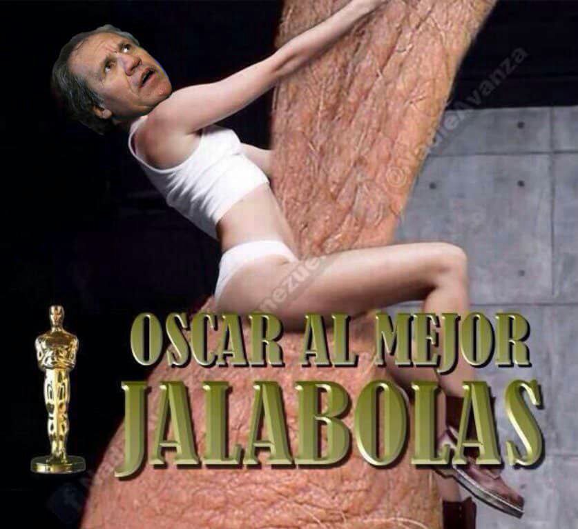 miranda activa tweet media