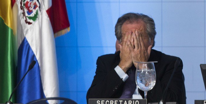 miranda activa tweet media