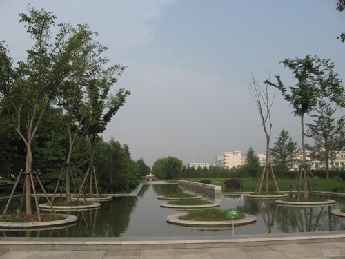 frsproz's tweet photo. Primary school in Qingdao, ASAP. https://t.co/npY2Nqdy4v