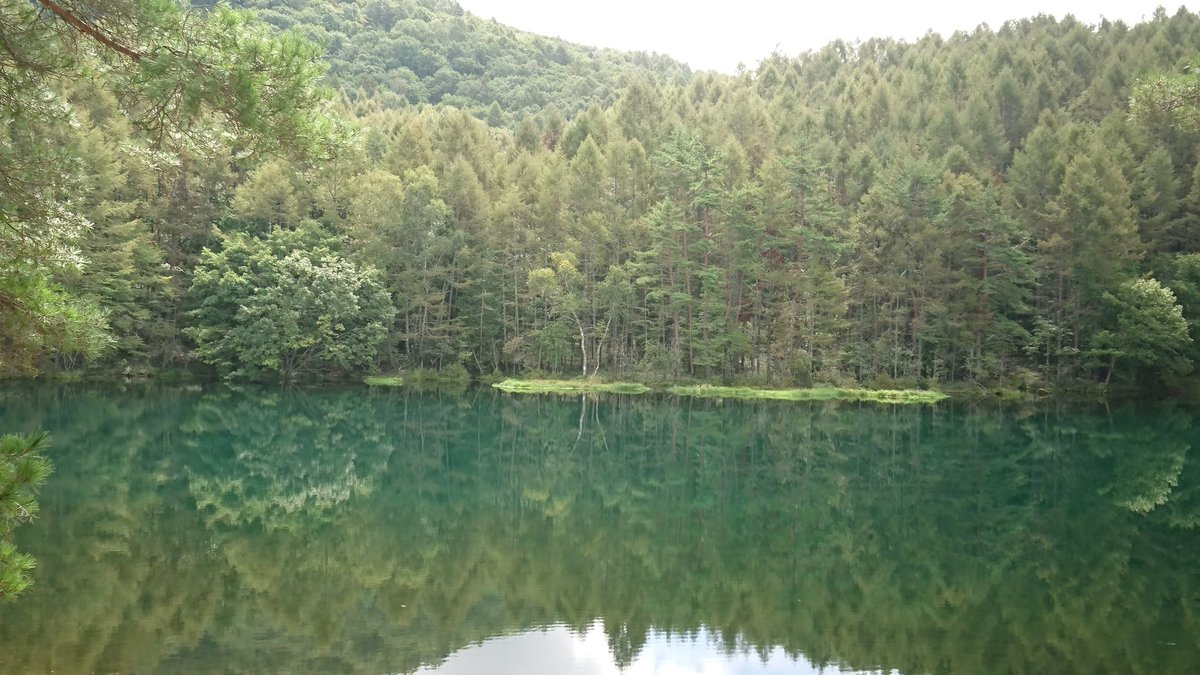 もこ على تويتر 御射鹿池 東山魁夷先生のゆかりの地に来れて感動 白い馬が出てきそう