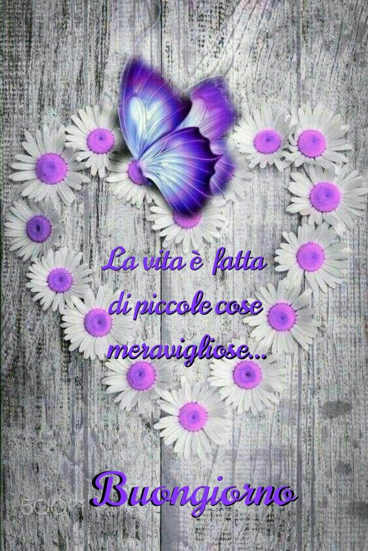 Prestine Good Morning Everyone Have A Nice Day Pushawardskiervifamcakes