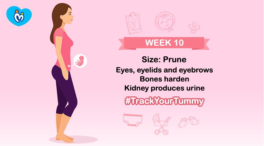 MamyPokoIN's tweet photo. Mammies, #TrackYourTummy and discover how your little one is growing! Download our App: https://t.co/DotPxeEO4G
#MamyPoko #Unicharm #TrackDevelopment https://t.co/EHTTcJkhRK