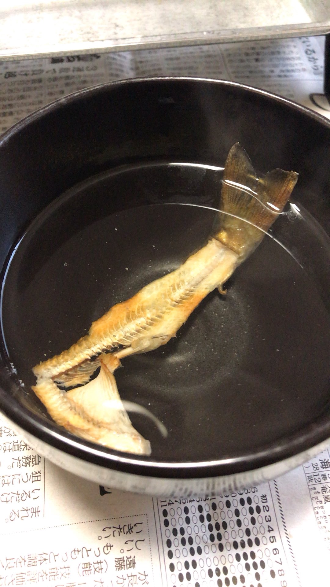山女魚の塩焼き Twitter Search Twitter