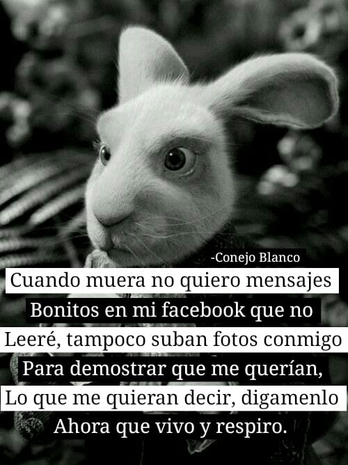 Gimena Saez (@gimenasaez3) on Twitter photo 