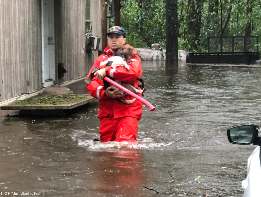 FoxNews's tweet photo. United States Coast Guard members of Shallow-Water Response Team 3 rescued pets stranded by flooding caused by Florence in North Carolina. https://t.co/5RnbT3dvvy