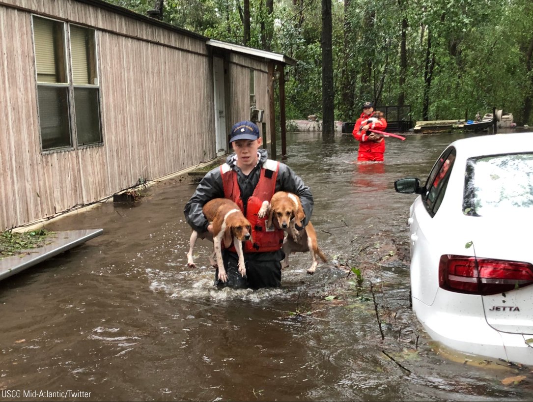 FoxNews's tweet photo. United States Coast Guard members of Shallow-Water Response Team 3 rescued pets stranded by flooding caused by Florence in North Carolina. https://t.co/5RnbT3dvvy