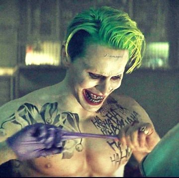 View image on Twitter