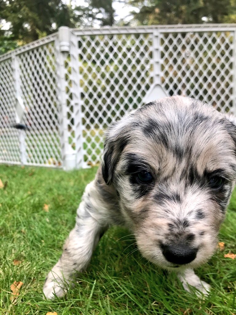 Jess199clark's tweet photo. Hope this makes you smile :) https://t.co/5OMiw67NSu