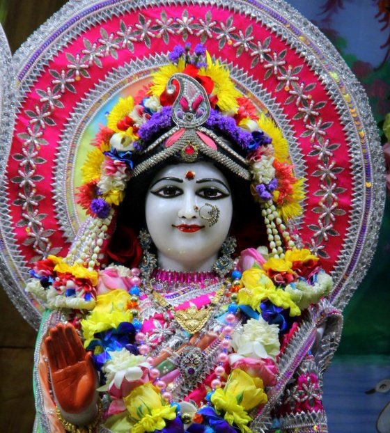 ISKCONJuhu's tweet photo. #Radhasthami #earlymorning #blessings 17 Sept Mangala Darshan https://t.co/0M5imDBx23