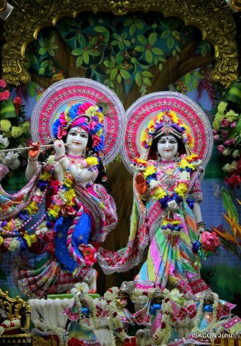 ISKCONJuhu's tweet photo. #Radhasthami #earlymorning #blessings 17 Sept Mangala Darshan https://t.co/0M5imDBx23