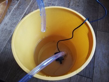 真似するだけ 水耕栽培の水やり 液肥を自動で投入する方法 簡易自動化 悠々自適生活研究所