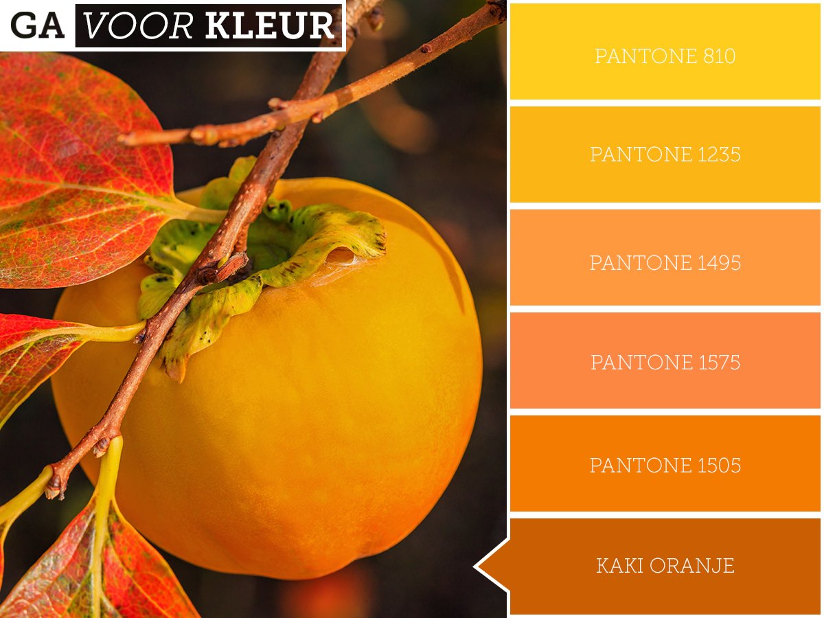 Morgen is het #Prinsjesdag! Wij komen alvast in de stemming met deze heerlijke oranje #kaki. Heb jij deze lekkere vrucht al eens geproefd? #gavoorkleur