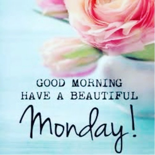 CraftsIndustry's tweet photo. Good morning to all of our lovely followers 🏡🌷wishing you all a positive, successful week ahead! 🌹
.
.
.
.
#mondaymotivation #monday #positive #pinterest #etsy #etsyshop #flowers #weddinginspo #homeinspo #wedding #home #country #countrystyle #happy #cottageindustrycrafts https://t.co/dzAWaLvPmC