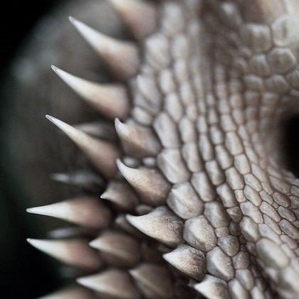 nullitycatalyst's tweet image. Wʜᴀᴛ ᴍᴀᴋᴇs ʏᴏᴜ sᴏ sᴘᴇᴄɪᴀʟ﹖

  Wʜᴀᴛ ᴍᴀᴋᴇs ʏᴏᴜ sᴏ s ᴘ ᴇ ᴄ ɪ ᴀ ʟ﹖
     
// bnha-oc!

// mature warning.

// bio, quirk, etc down below.