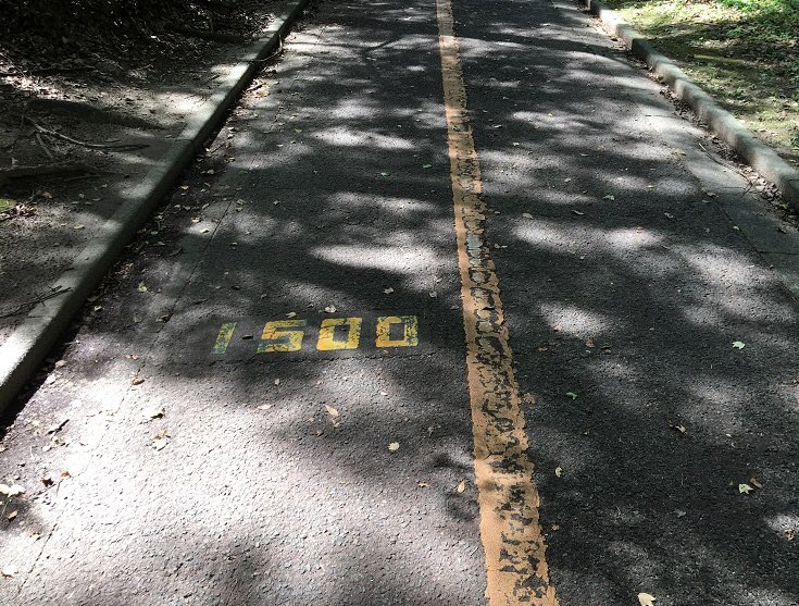 hiro_nmh's tweet photo. 何時ものジョギング コース
大江川緑地
ココは路面に100メートルごとに表記が有るので後はラップが計れる時計が有れば GPS時計、スマホ 要らず。

#大江川緑地
#ジョギング https://t.co/e0LrsnbHea