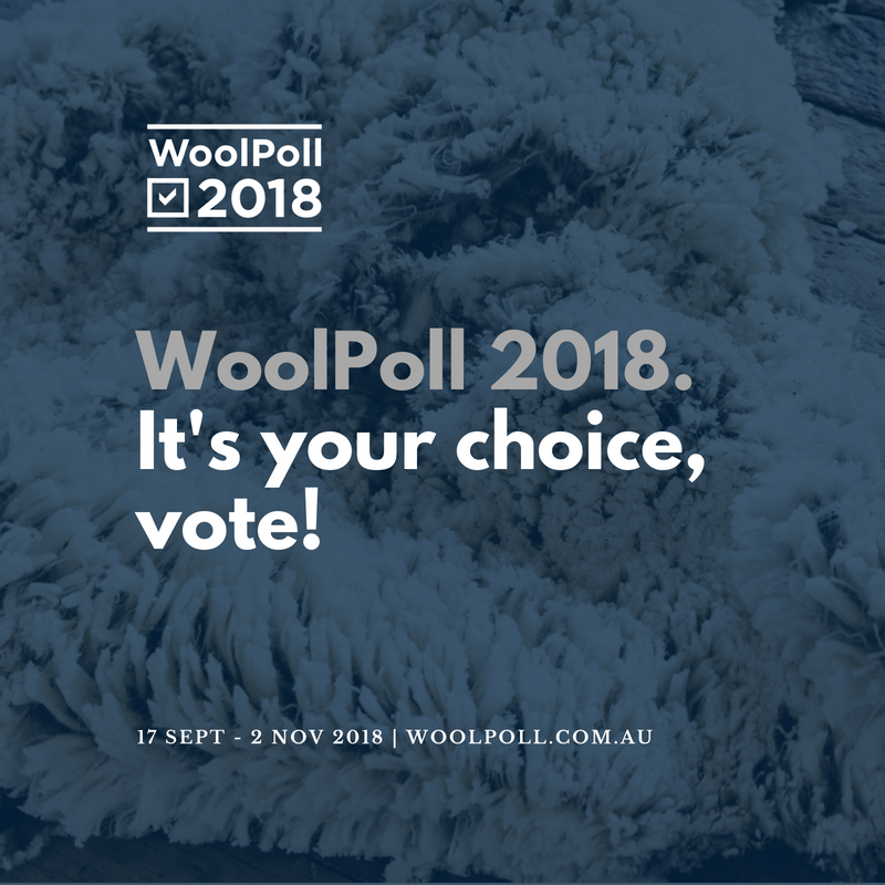 DAFFgov's tweet photo. #WoolPoll 2018 voting opens today! Aussie #woolgrowers can
vote on how much they’d like to invest in research, development &amp; marketing undertaken by @woolinnovation| Vote now https://t.co/yU8kUbn5Uu https://t.co/PmnzagmVl6