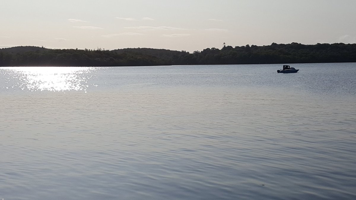 BlogDriftwood's tweet photo. An early morning on Lough Erne.
Click https://t.co/h0huOYreag for our Irish boating videos
#fermanaghlakelands #visitireland #water #river #lake #hausboot #ireland #boating #boats #rivers #travel #waterlovers #funonthewater #riverboat #outdoorlife #boatday #hausboote https://t.co/xu9sMeISm5