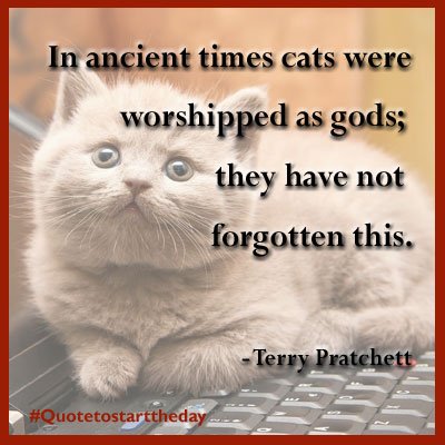 BristolHipp's tweet photo. #Quotetostarttheday https://t.co/iwpXrbIoi9