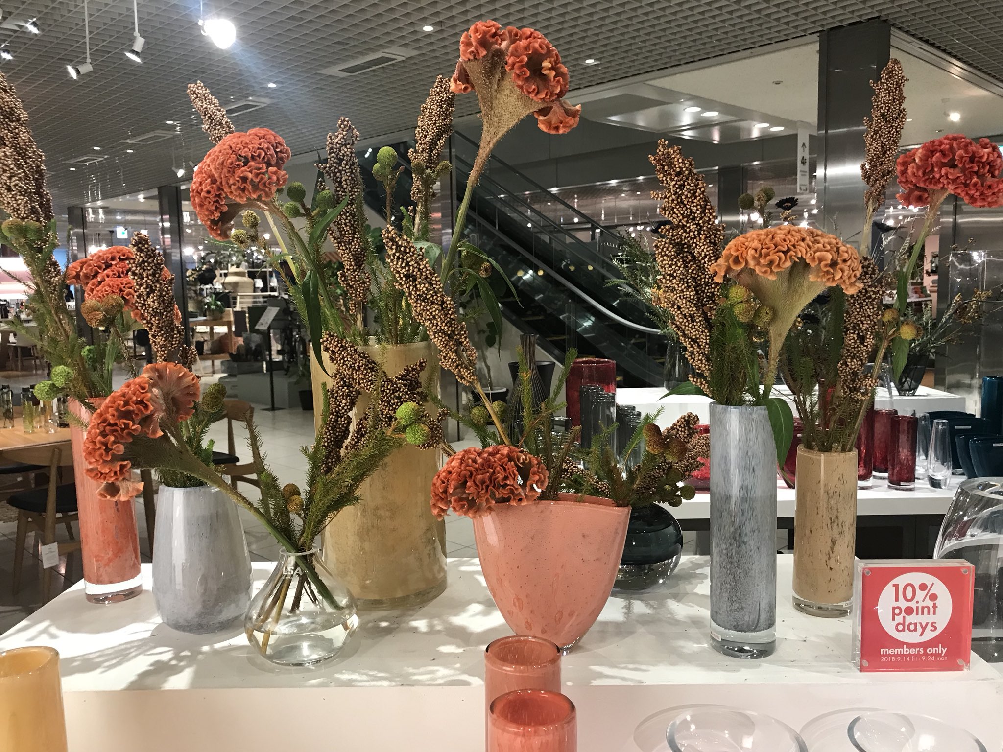コンランショップ フラワーポット vase - フラワー/ガーデン コンランショップ フラワーポット vase - フラワー/ガーデン