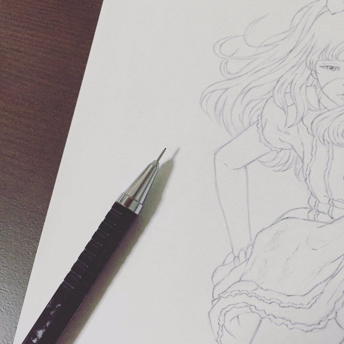 シャーペンで描いてます シャーペンで描いてます