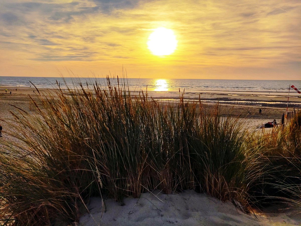 TravelSeeWrite's tweet photo. From Middle Age architecture to unspoiled beaches; #NorthernFrance is the best kept secret of France whr u are welcomed by the friendliest people. The best part is its location - 1 hr fm Paris,  30 mins fm Brussels &amp; 1.5 hrs fm London #travel #MondayMotivation https://t.co/bysbqjTHXU