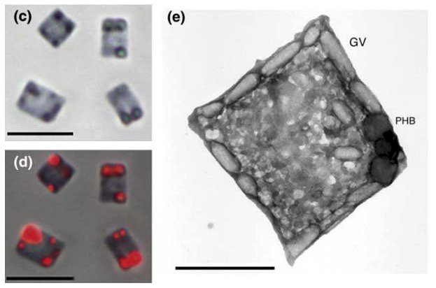 Tim Stearns tweet media