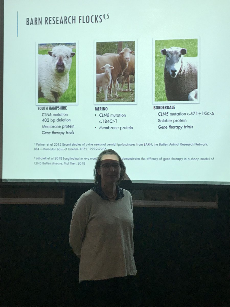 Great guest seminar from @imke_tammen from @Sydney_Uni on 'Inherited diseases in sheep and beef cattle and the use of gene editing'. #Welfare #Disease #Genetics #GeneticModification #MolecularGenetics #AGBUSEMINAR