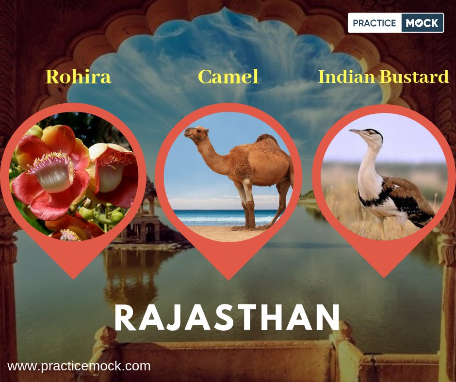 practicemock's tweet image. Indian states and their symbols.
#statesymbols #indianstates #rajasthan #camel ##gk #ssc #ibpspo #ibps #ssc #generalknowledge #PracticeMock #PM