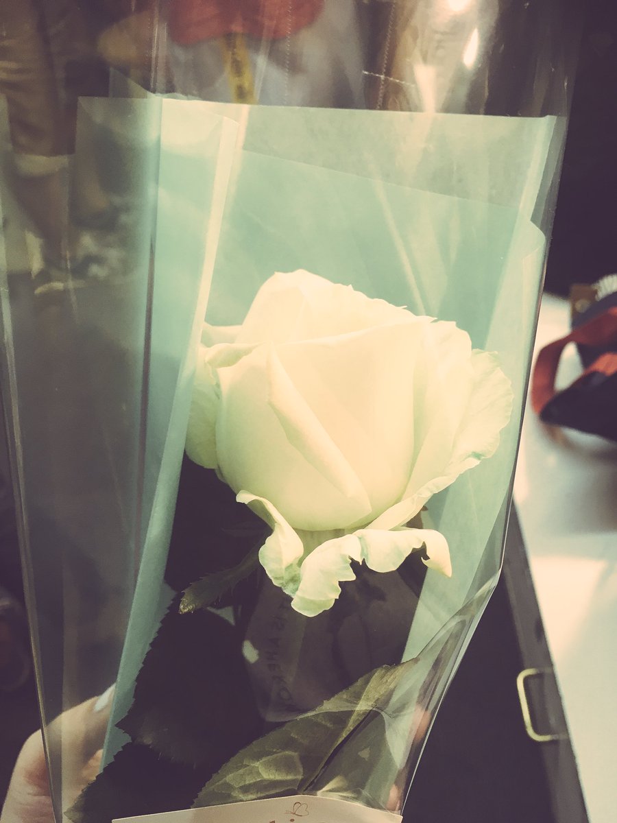 erika_blash's tweet photo. 無事に終演いたしました。
たくさんのお客様に観ていただけて幸せでした。ありがとうございました。
一輪の白い薔薇をいただいて、にこにこしています。
#rat11 #rat13 #キコ https://t.co/cNoB48rmE1